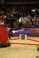 Cracker - 00443